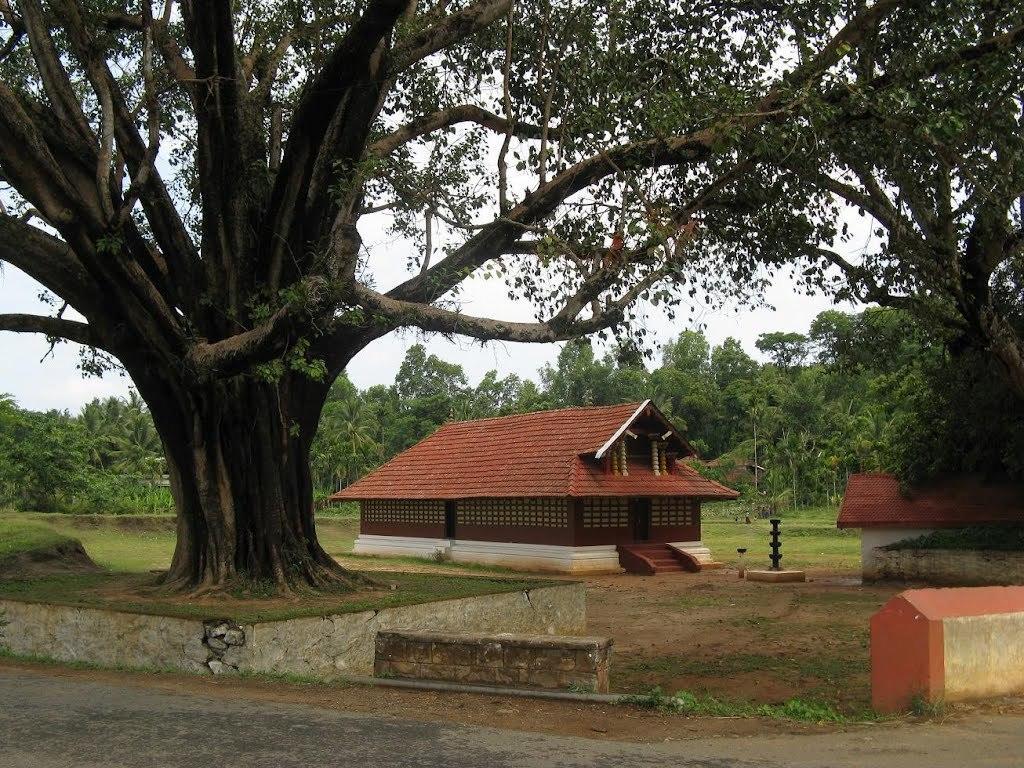 Wayanad Gate Resort Mananthavady Zewnętrze zdjęcie
