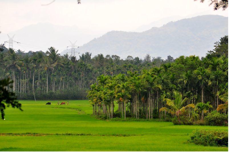 Wayanad Gate Resort Mananthavady Zewnętrze zdjęcie