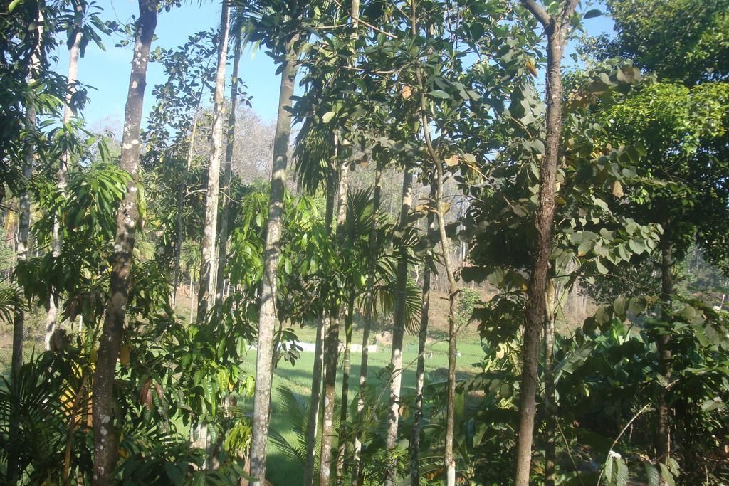 Wayanad Gate Resort Mananthavady Zewnętrze zdjęcie